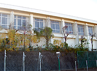 高等学校